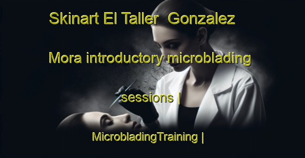 Skinart El Taller  Gonzalez Mora introductory microblading sessions | MicrobladingTraining | MicrobladingClasses | SkinartTraining-Mexico